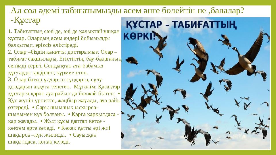 Ал сол әдемі табиғатымызды әсем әнге бөлейтін не ,балалар? -Құстар 1. Табиғаттың сәні де, әні де қалықтай ұшқан құстар. Оларды