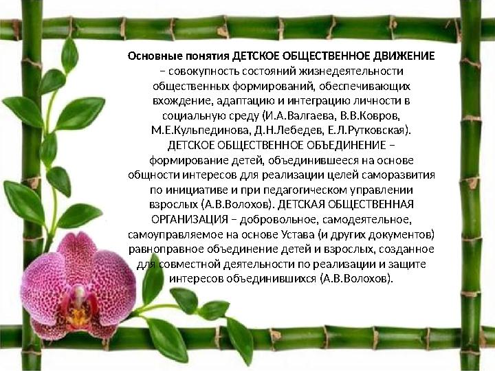 Основные понятия ДЕТСКОЕ ОБЩЕСТВЕННОЕ ДВИЖЕНИЕ – совокупность состояний жизнедеятельности общественных формирований, обеспечив