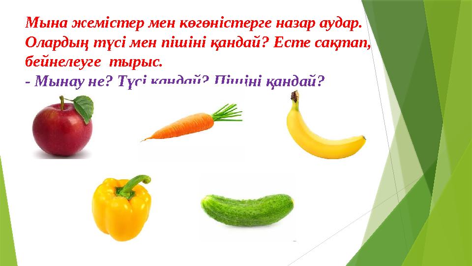 Мына жемістер мен көгөністерге назар аудар. Олардың түсі мен пішіні қандай ? Есте са қтап, бейнелеуге тырыс. - Мынау не ? Тү