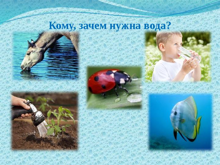 Кому, зачем нужна вода?