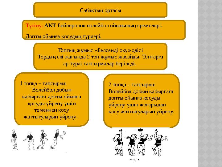 Траннидегі порно екі