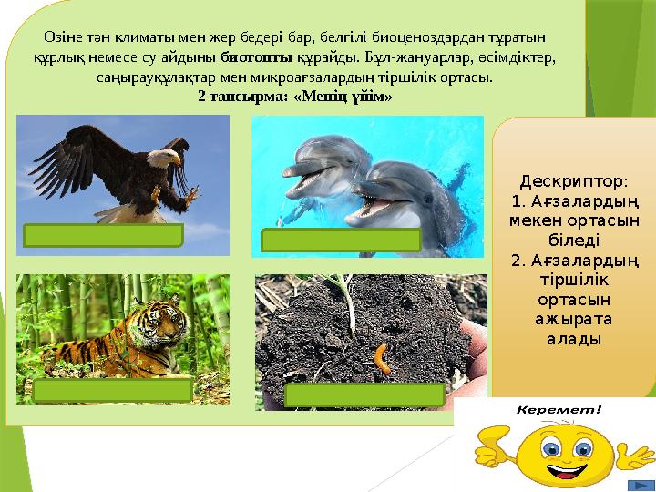 Өзіне тән климаты мен жер бедері бар, белгілі биоценоздардан тұратын құрлық немесе су айдыны биотопты құрайды. Бұл-жануарлар,