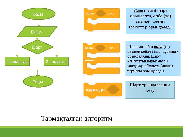Басы Енгізу Шарт 1-команда 2-команда Соңы Егер (если) шарт орындалса, онда (то) сөзінен кейінгі әрекеттер орындалады Ш