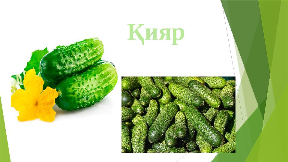 Қ ияр
