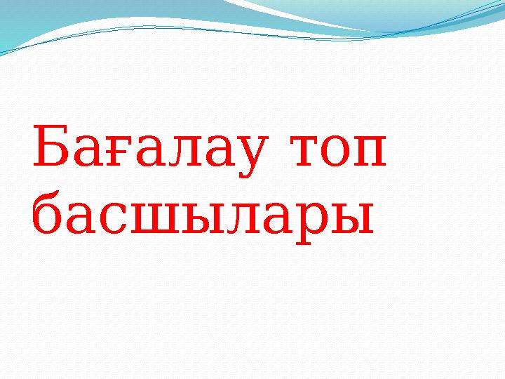 Бағалау топ басшылары