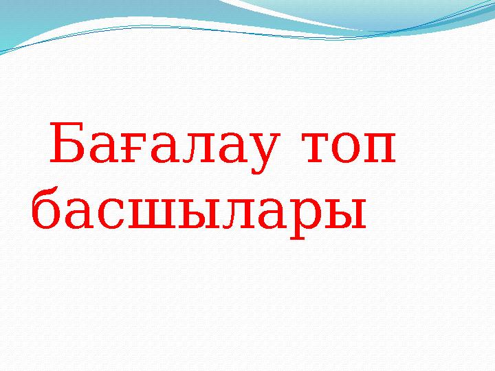 Бағалау топ басшылары