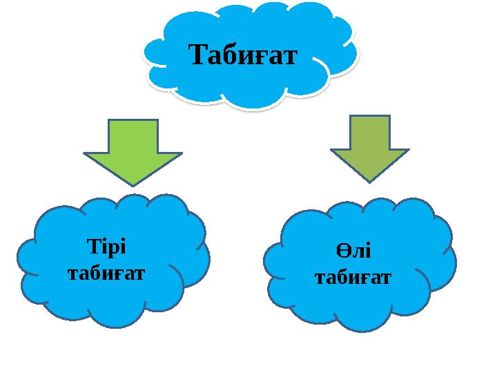Тірі табиғат Өлі табиғатТабиғат