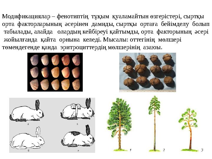 Қатал анальды фистинг Орыс порно және эротикалық пикап