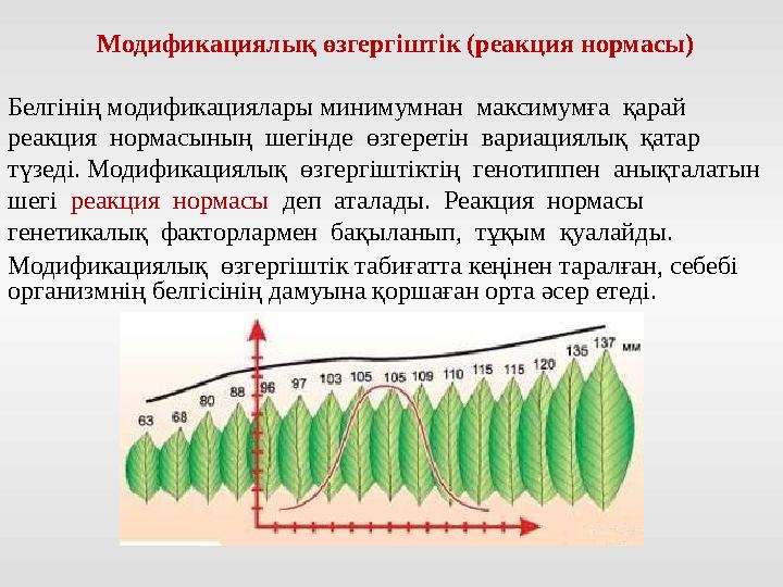 Модификациялық өзгергіштік (реакция нормасы) Белгінің модификациялары минимумнан максимумға қарай реакция нормасының шегінд