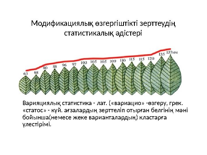 Орыс домашнее секс менің әйелім сексуал Ерлі-зайыпты топтың порно жеке түсірілімі