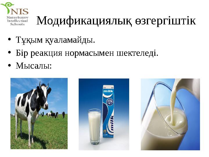 Модификациялық өзгергіштік • Тұқым қуаламайды. • Бір реакция нормасымен шектеледі. • Мысалы: