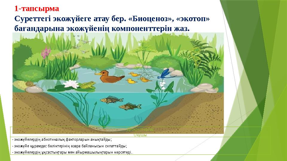 1-тапсырма Суреттегі экожүйеге атау бер. «Биоценоз», «экотоп» бағандарына экожүйенің компоненттерін жаз. Дескрипторлар Оқушы -