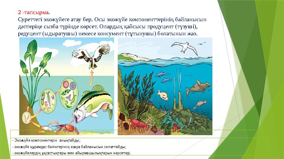 2 -тапсырма . Суреттегі экожүйеге атау бер. Осы экожүйе компоненттерінің байланысын дәптеріңе сызба түрінде көрсет. Олардың қай