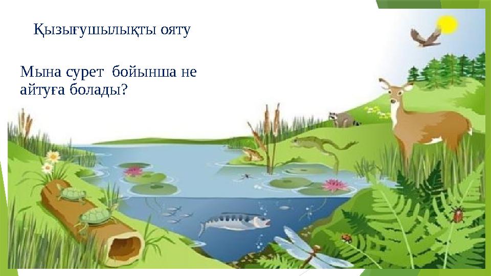 Қызығушылықты ояту Мына сурет бойынша не айтуға болады?