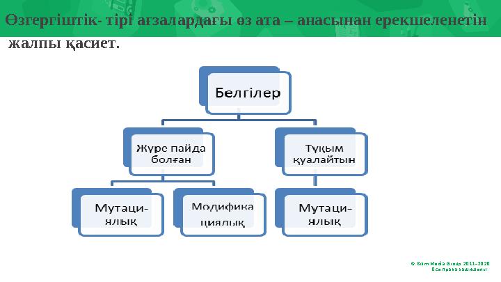 © Bilim Media Group 2011–20 20 Все права защищены. .Өзгергіштік - тірі ағзалардағы өз ата – анасынан ерекшеленетін жалпы қас