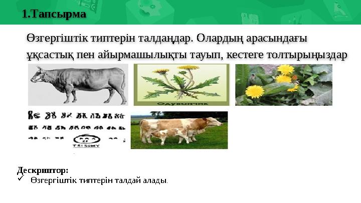1.Тапсырма Өзгергіштік типтерін талдаңдар. Олардың арасындағы ұқсастық пен айырмашылықты тауып, кестеге толтырыңыздар Дескрипто