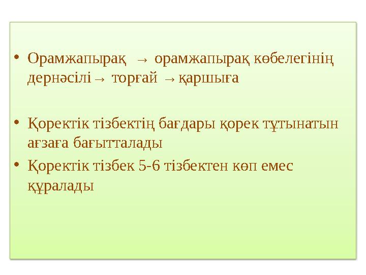 • Орамжапырақ → орамжапырақ көбелегінің дернәсілі→ торғай → қаршыға • Қоректік тізбектің бағдары қорек тұтынатын ағзаға бағыт