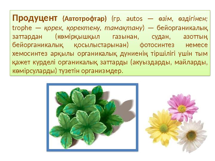 Продуцент (Автотрофтар) (гр. autos — өзім, өздігінен; trophe — қорек, қоректену, тамақтану ) — бейорганикалық з