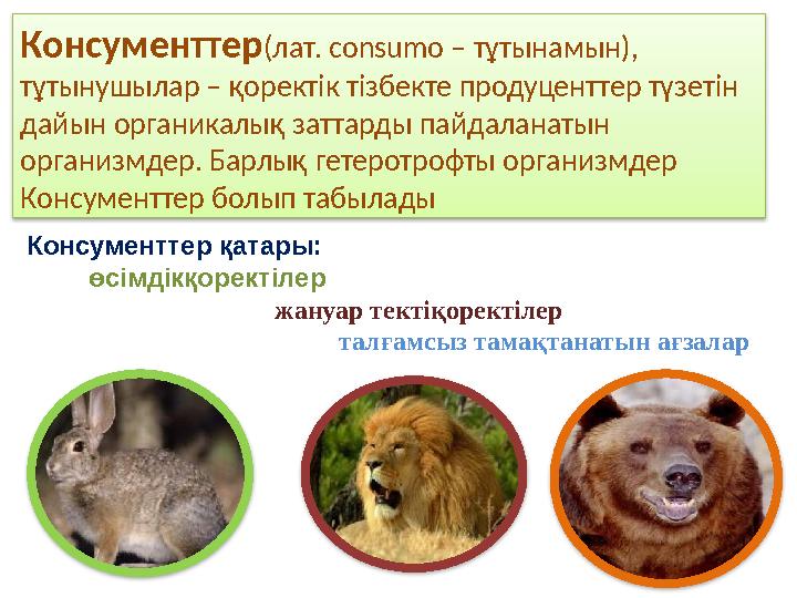 Консументтер (лат. consumo – тұтынамын), тұтынушылар – қоректік тізбекте продуценттер түзетін дайын органикалық заттарды пай