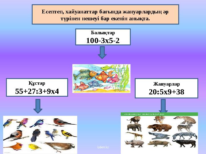 izden.kzЕсептеп, хайуанаттар бағында жануарлардың әр түрінен нешеуі бар екенін анықта. Балықтар 100-3 х 5-2 Құстар 55+27:3+9 х