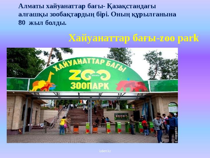 izden.kzАлматы хайуанаттар бағы- Қазақстандағы алғашқы зообақтардың бірі. Оның құрылғанына 80 жыл болды. Хайуанаттар бағы -