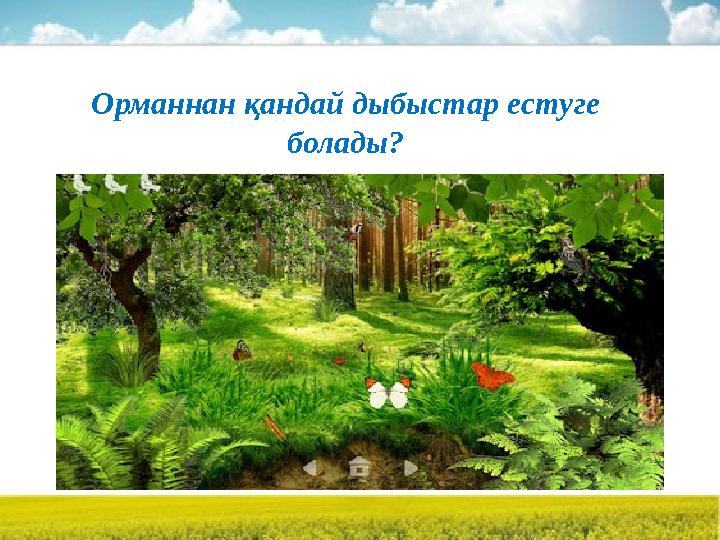 Орманнан қандай дыбыстар естуге болады?