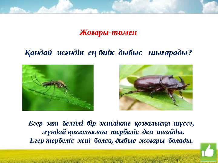 Жоғары-төмен Қандай жәндік ең биік дыбыс шығарады ? Егер зат белгілі бір жиілікте қозғалысқа түссе, мұндай қозғалы