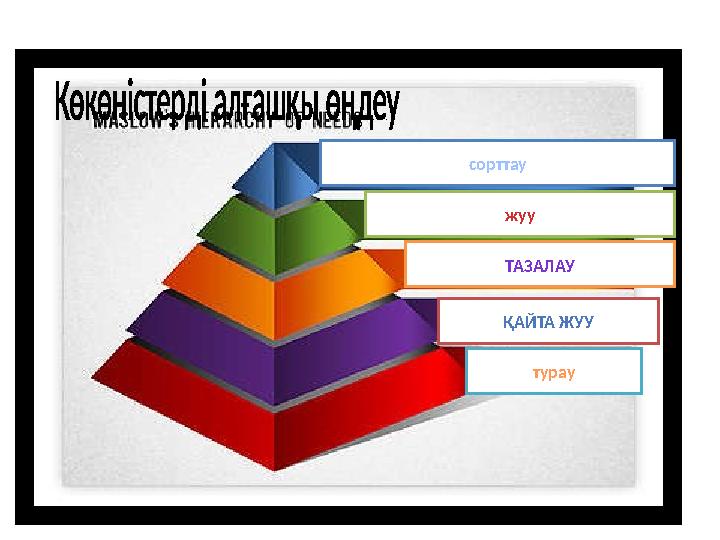 сорттау жуу ТАЗАЛАУ турауҚАЙТА ЖУУ