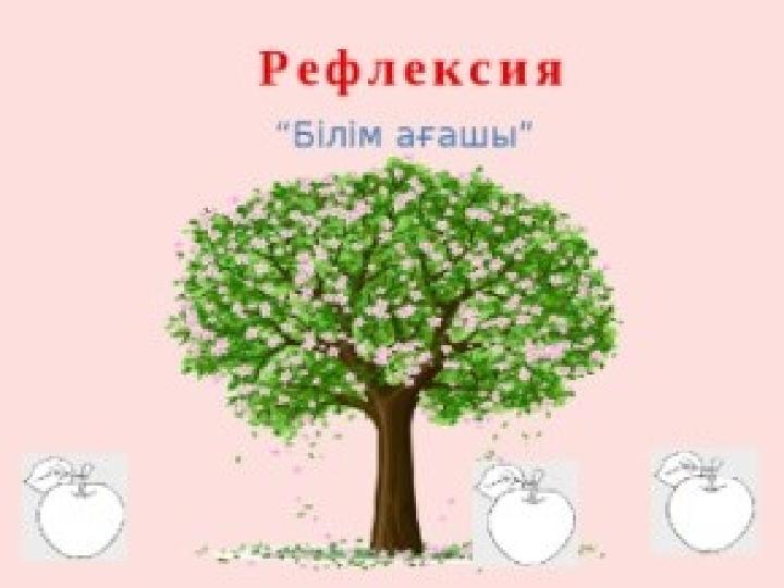 Кері байланыс