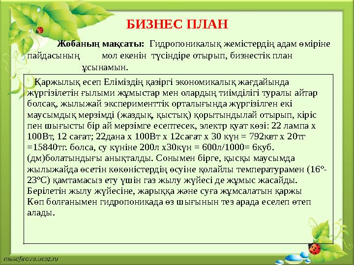 БИЗНЕС ПЛАН Жобаның мақсаты: Гидропоникалық жемістердің адам өміріне пайдасының мол екенін түсіндіре от