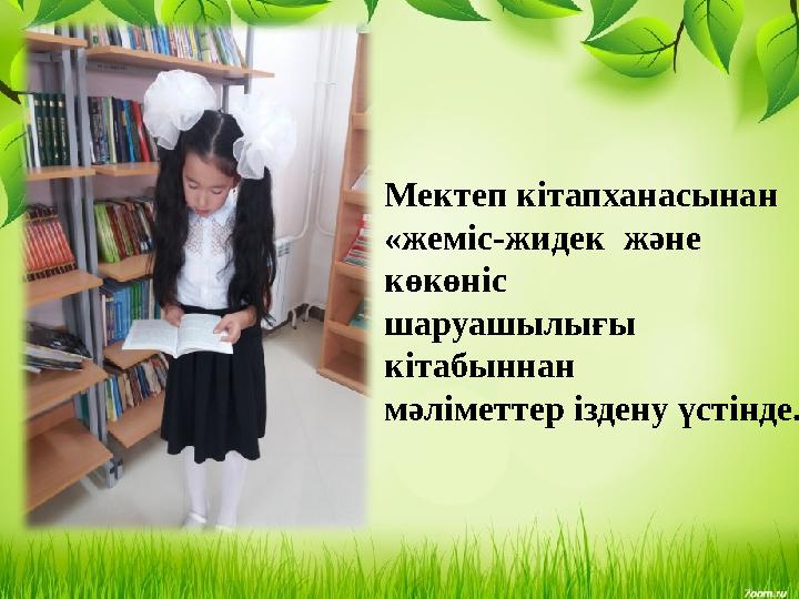 Мектеп кітапханасынан «жеміс-жидек және көкөніс шаруашылығы кітабыннан мәліметтер іздену үстінде.