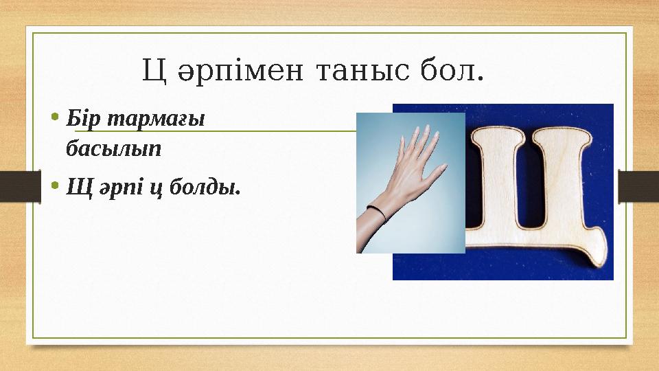 Ц әрпімен таныс бол. • Бір тармағы басылып • Щ әрпі ц болды.