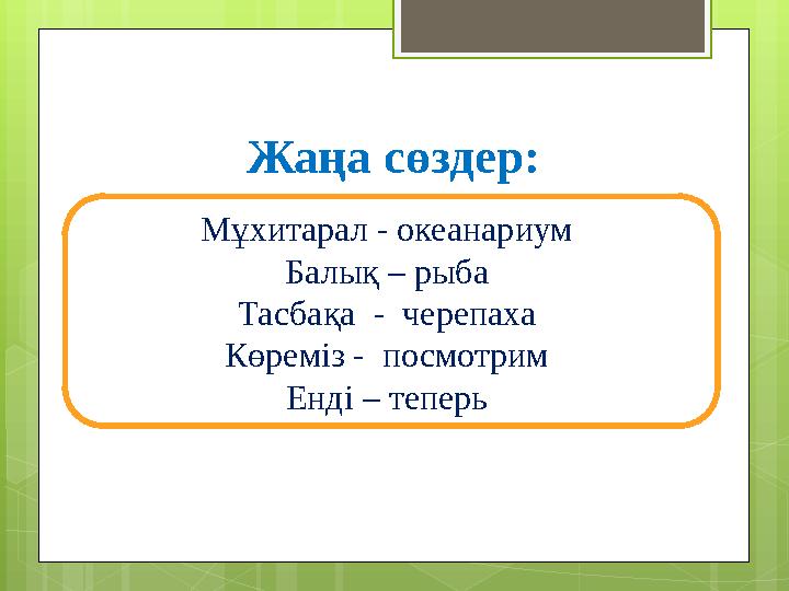 Жаңа сөздер: Мұхитарал - океанариум Балық – рыба Тасбақа - черепаха Көреміз - посмотрим Енді – теперь