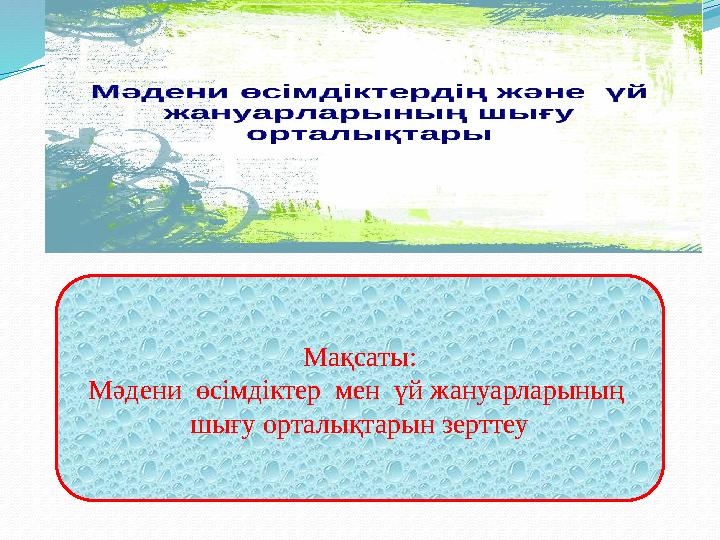 Мақсаты: Мәдени өсімдіктер мен үй жануарларының шығу орталықтарын зерттеу