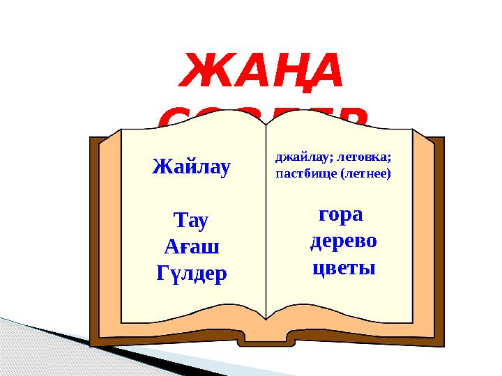 ЖАҢА СӨЗДЕР Жайлау Тау Ағаш Гүлдер гора дерево цветыджайлау; летовка; пастбище (летнее)