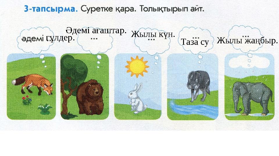 Таза су Жылы жаңбыр.Әдемі ағаштар. гүлдер. Жылы күн.