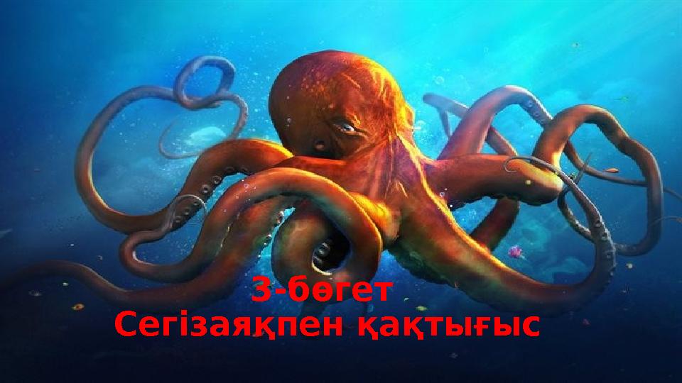 3-бөгет Сегізаяқпен қақтығыс