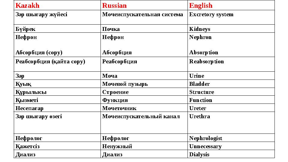 Kazakh Russian English Зәр шығару жүйесі Mочеиспускательная система Excretory system Бүйрек Почка Kidneys Нефрон Абсорбция