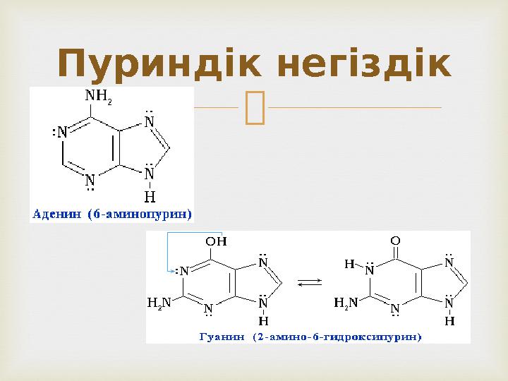 Пуриндік негіздік
