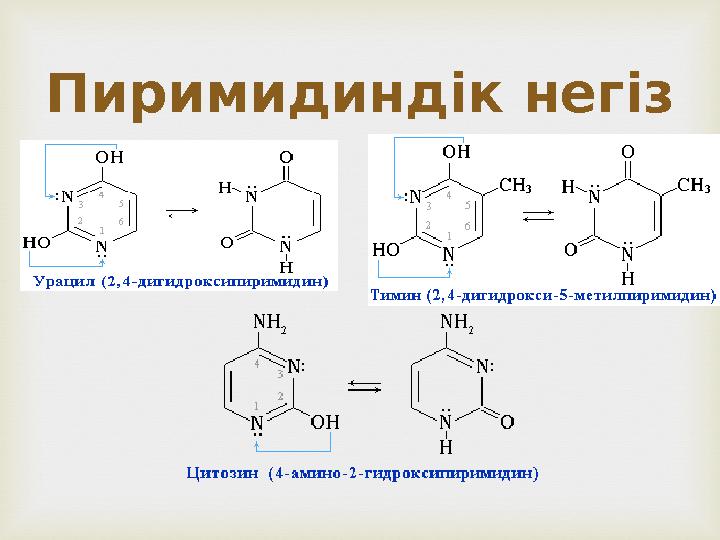 Пиримидиндік негіз