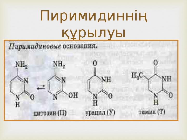 Пиримидиннің құрылуы