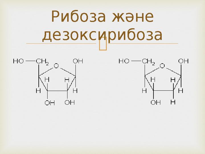 Рибоза және дезоксирибоза