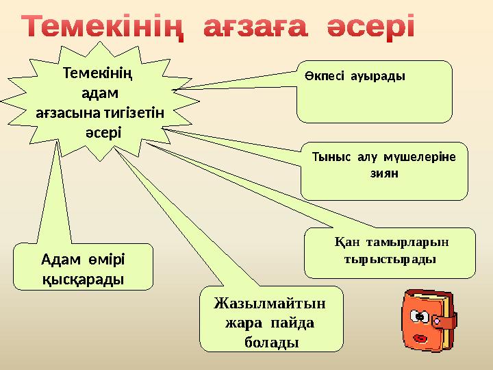 Темекінің адам ағзасына тигізетін әсері Өкпесі ауырады Қан тамырларын тырыстырады Жазылмайтын жара пайда болад