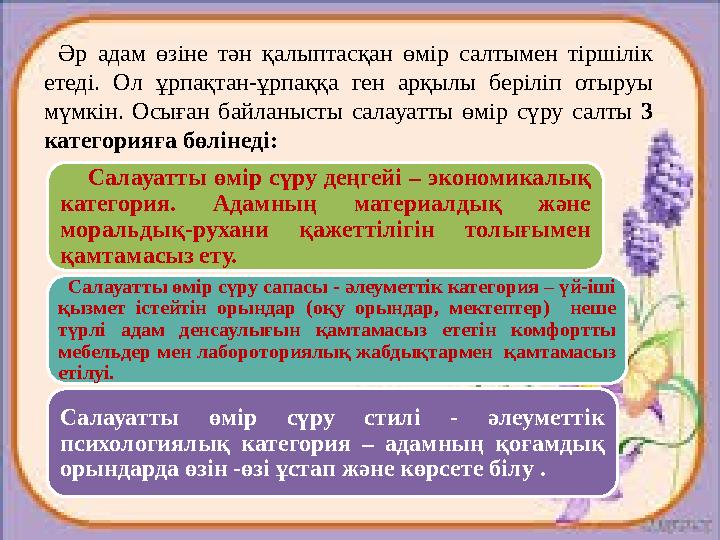 Үлкен фаллустар мен әтештердің порно компиляциясы