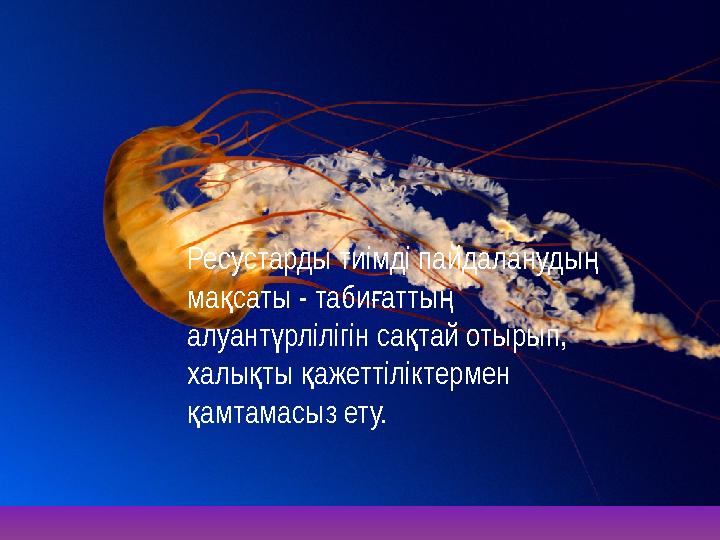 Ресустарды тиімді пайдаланудың мақсаты - табиғаттың алуантүрлілігін сақтай отырып, халықты қажеттіліктермен қамтамасыз ету.