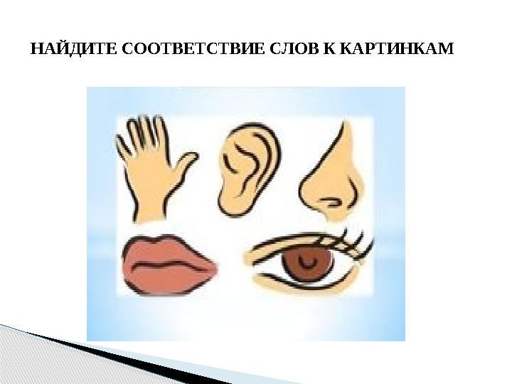 НАЙДИТЕ СООТВЕТСТВИЕ СЛОВ К КАРТИНКАМ