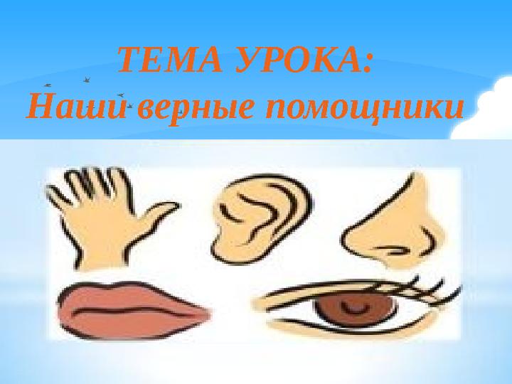 ТЕМА УРОКА: Наши верные помощники