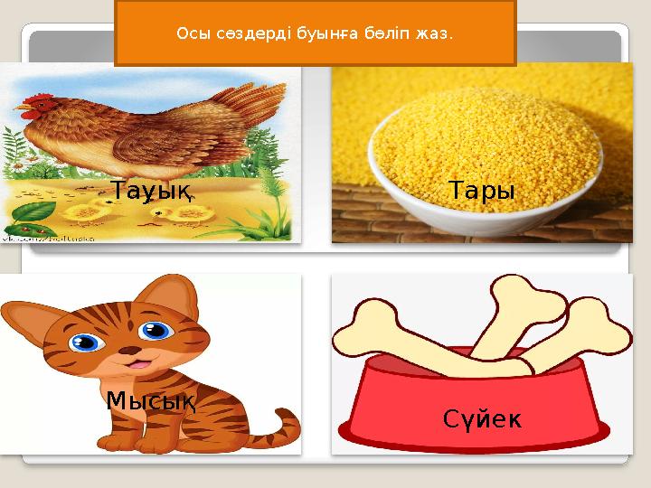 Тауық Тары Мысық СүйекОсы сөздерді буынға бөліп жаз.