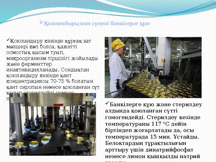  Қоюландырылған сүтті банкілерге құю  Банкілерге құю және стерилдеу алдында қоюланған сүтті гомогендейді. Стерилдеу кезінде