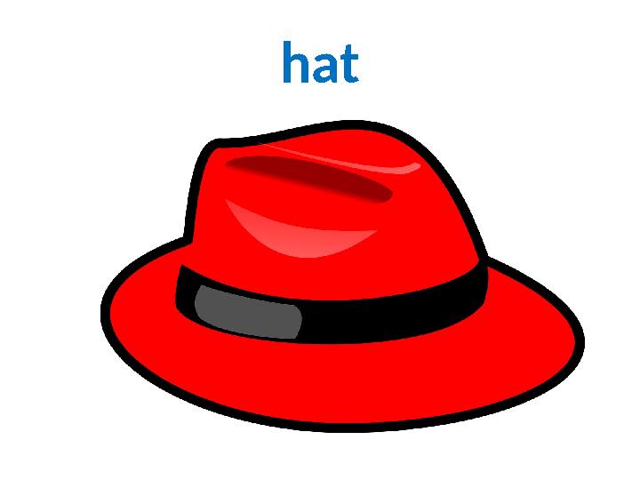hat
